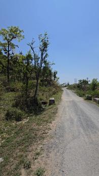 Agricultural/Farm Land for Sale in Itharna, Dehradun (16200 Sq.ft.)