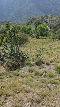 Property for sale in Itharna, Dehradun