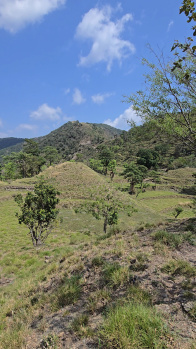 Property for sale in Itharna, Dehradun