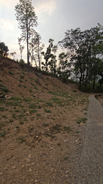 Agricultural/Farm Land for Sale in Narendra Nagar, Rishikesh (1350 Sq.ft.)