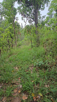 Agricultural/Farm Land for Sale in Narendra Nagar, Rishikesh (2700 Sq. Yards)