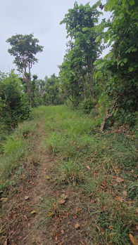 Property for sale in Narendra Nagar, Rishikesh