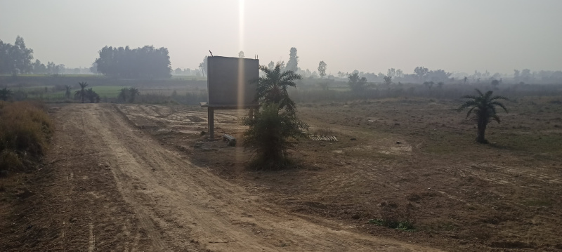 2000 Sq.ft. Residential Plot for Sale in Gosainganj, Lucknow