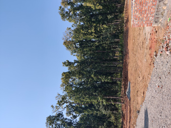 Raipur green residential plot for available