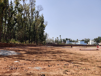 Residential Plot for Sale in Raipur, Dehradun (250 Sq. Yards)
