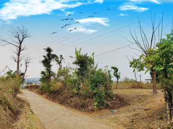 Residential Plot for Sale in Thano, Dehradun (916 Sq. Yards)