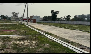 Residential Plot for Sale in Selakui, Dehradun (150 Sq. Yards)