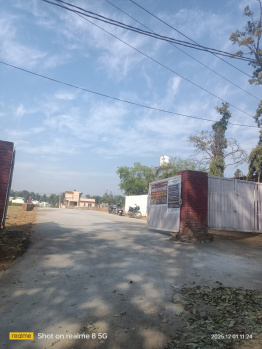 Residential Plot for Sale in Raipur Road, Dehradun (150 Sq. Yards)