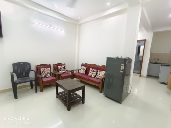 Flats & Apartments for Sale in Sector B, Vasant Kunj, Delhi (2800 Sq.ft.)