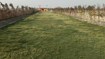 Residential Plot for Sale in Mohanlalganj, Lucknow (1000 Sq.ft.)