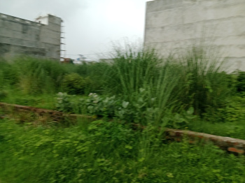 Residential Plot for Sale in Ekta Nagar, Lucknow (1600 Sq.ft.)