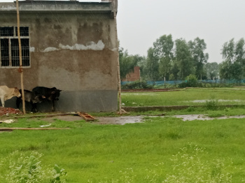 Residential Plot for Sale in Kisan Path, Lucknow (1000 Sq.ft.)