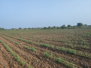 Property for sale in Waghodia, Vadodara