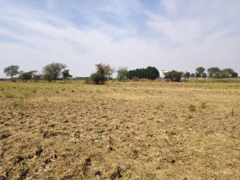 18 Bigha Agricultural/Farm Land For Sale In Halol, Vadodara