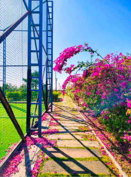 Property for sale in Ujjain Road, Indore
