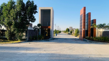 1200 Sq.ft. Residential Plot for Sale in Ujjain Road, Indore