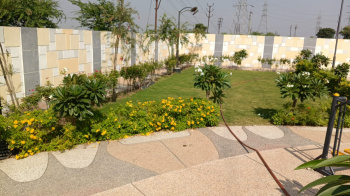 Residential Plot for Sale in Ujjain Road, Indore (600 Sq.ft.)