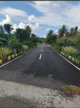 Residential Plot for Sale in Kaggalipura, Bangalore (1200 Sq.ft.)