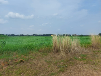 Residential Plot for Sale in New Railway Station, Bhubaneswar (1600 Sq.ft.)