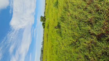 Prime Location House Hold Yellow zone Land for Sell