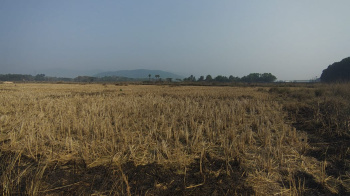 Property for sale in Baruan, Jajpur