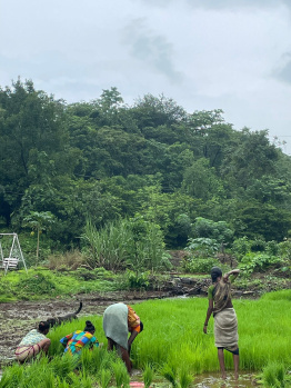 Property for sale in Vile Bhagad MIDC, Raigad