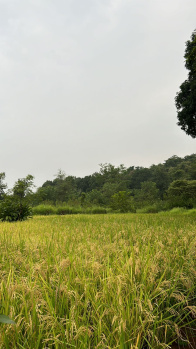 Property for sale in Vile Bhagad MIDC, Raigad