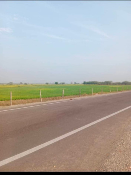 3 BHK Farm House for Sale in Shahpura, Jaipur (17 Bigha)