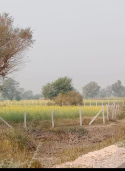 Property for sale in Shahpura, Jaipur