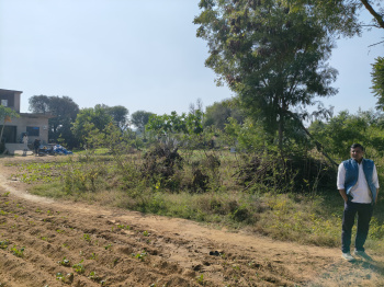 Agricultural/Farm Land for Sale in Shahpura, Jaipur (13 Bigha)