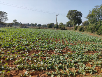 Property for sale in Shahpura, Jaipur