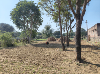 Property for sale in Shahpura, Jaipur