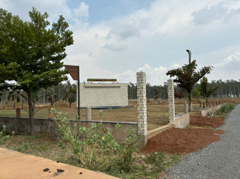 Property for sale in Nardaha, Raipur