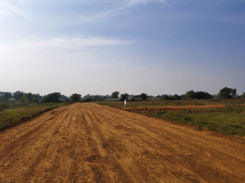 Residential Plot for Sale in Dongragarh, Rajnandgaon (1250 Sq.ft.)