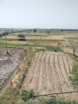 Agricultural/Farm Land For Sale In Indergarh, Bundi (52 Bigha)
