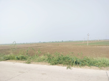 Agricultural/Farm Land for Sale in Bundi Road, Kota (19 Bigha)
