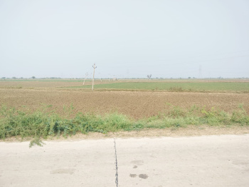 Agricultural/Farm Land for Sale in Bundi Road, Kota (4.5 Bigha)