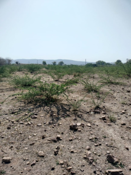 3.25 Bigha Agricultural/Farm Land for Sale in Tappal, Aligarh