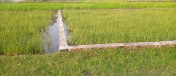 Residential Plot for Sale in Karjaha, Gorakhpur (1150 Sq.ft.)