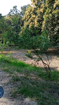 Property for sale in Civil Lines, Rampur
