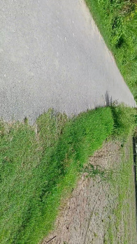 Agricultural/Farm Land for Sale in Suar, Rampur (14 Acre)