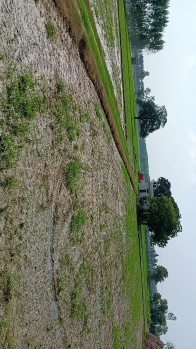 Property for sale in Suar, Rampur