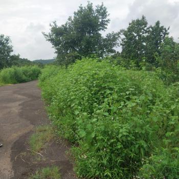 Property for sale in Sudhagad, Raigad