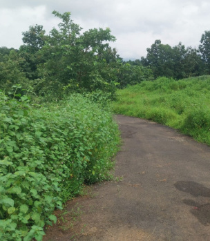 Property for sale in Sudhagad, Raigad
