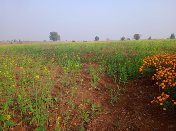 13.5 Acre Agricultural/Farm Land for Sale in Neral, Raigad