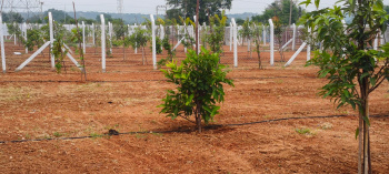 Property for sale in Keesara, Hyderabad