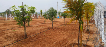 Property for sale in Shamirpet, Hyderabad