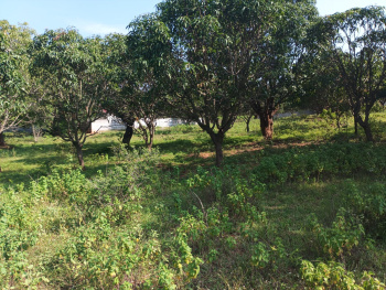 Property for sale in Shamirpet, Hyderabad