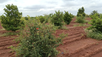 Property for sale in Shamirpet, Hyderabad