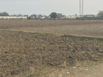 Clear for residential or other prosperous,